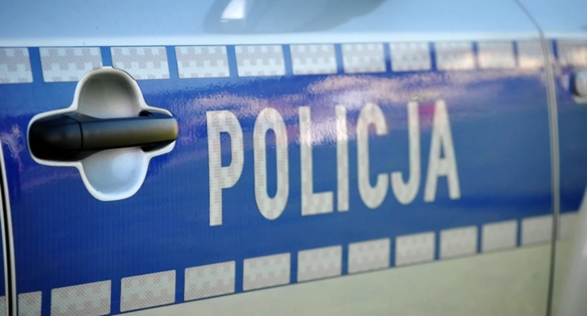 Kawałki lodu spadły na Renault z ciężarówki. Mandat dla obywatela Białorusi 
