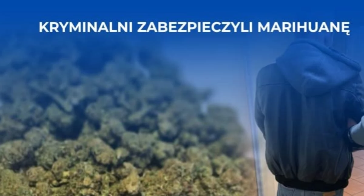 Narkotyki w mieszkaniu. 42-latek w rękach policji 