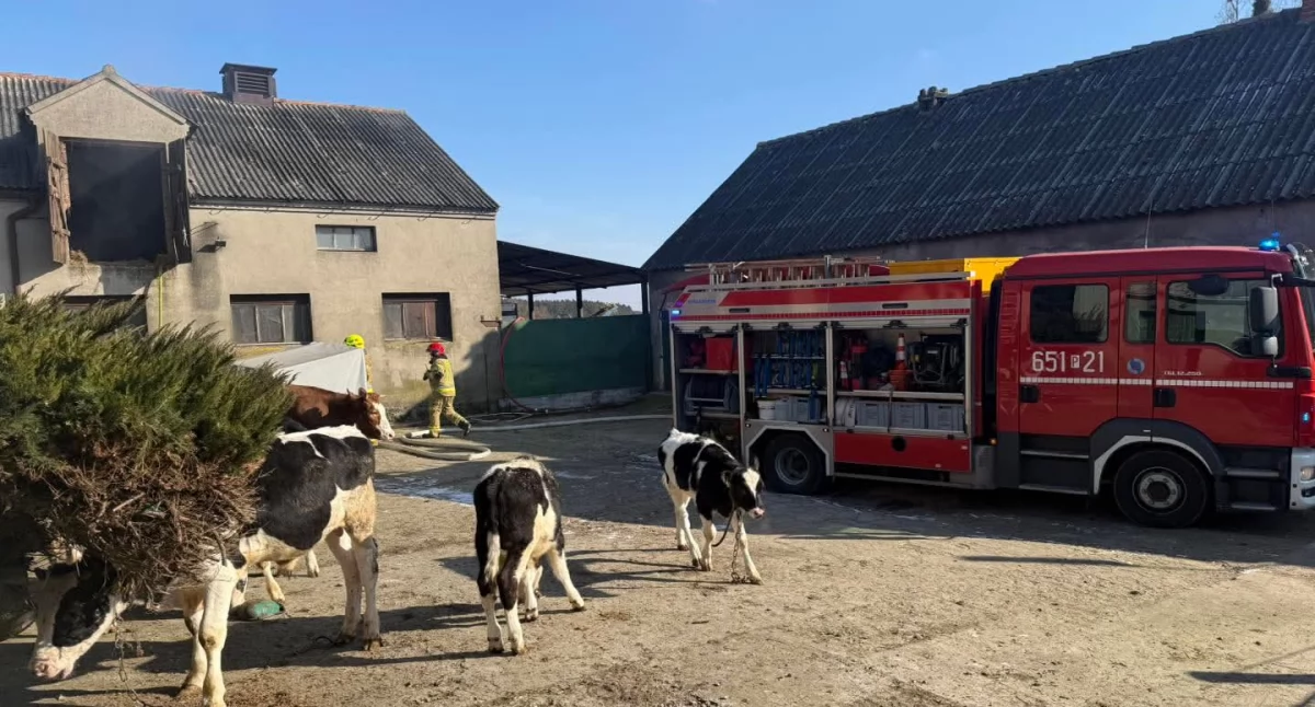 Pożar na gospodarstwie w Sokolnikach (zdjęcia)