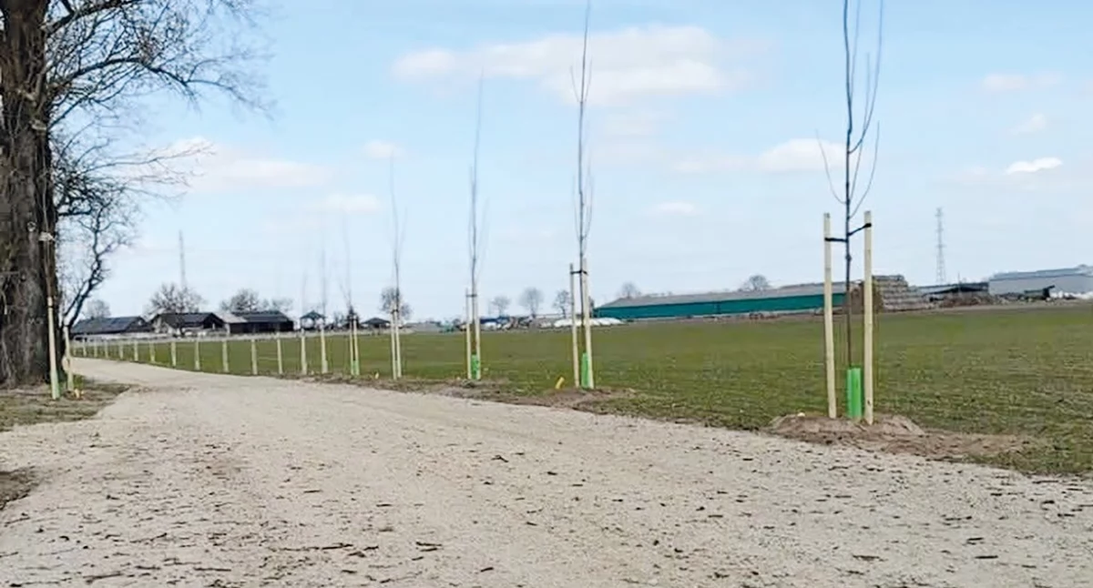 Ratusz zapowiada drugi etap budowy drogi Grzymysławice – Bardo 