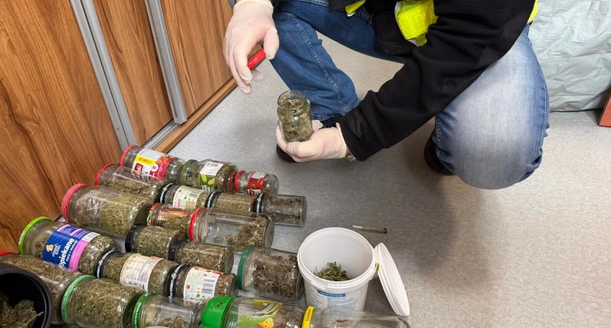 Znaleziono blisko 900 porcji narkotyków  