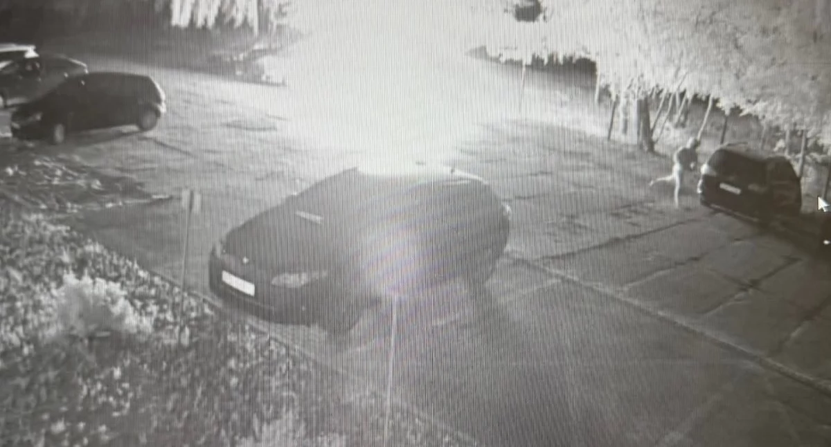 Przyjechał, podpalił auto i uciekł! Duże straty 