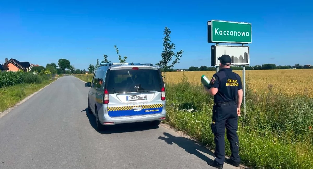 Trwają kontrole wrzesińskiej Straży Miejskiej 
