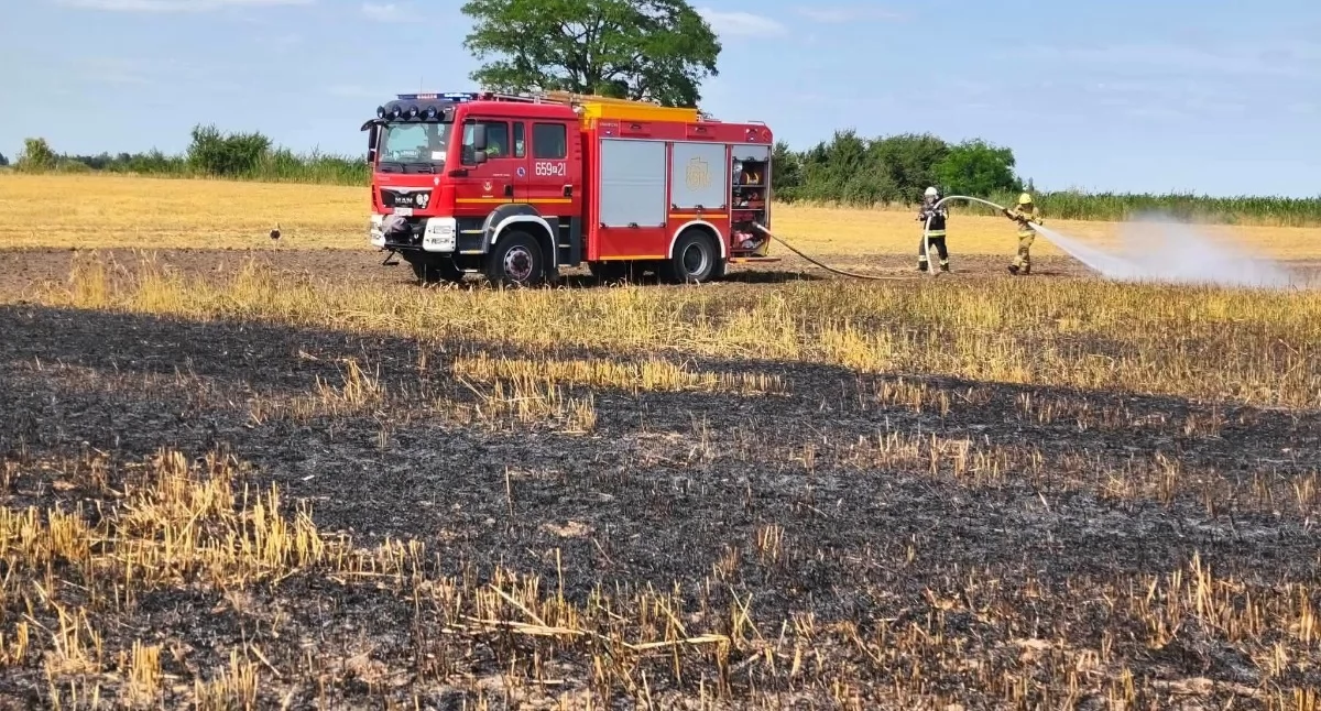 Strażacy i rolnicy razem walczyli z żywiołem (Galeria)