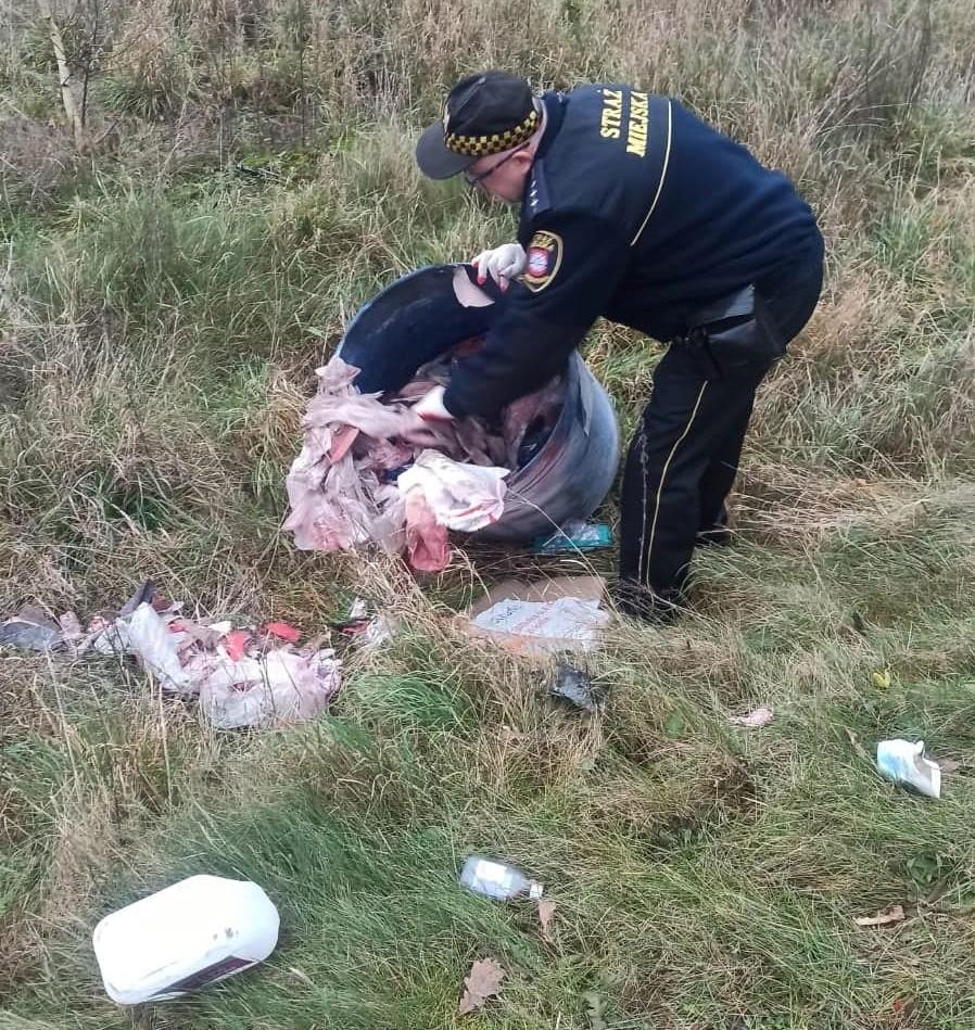 Śmieci w rowie. Sprawca ukarany!