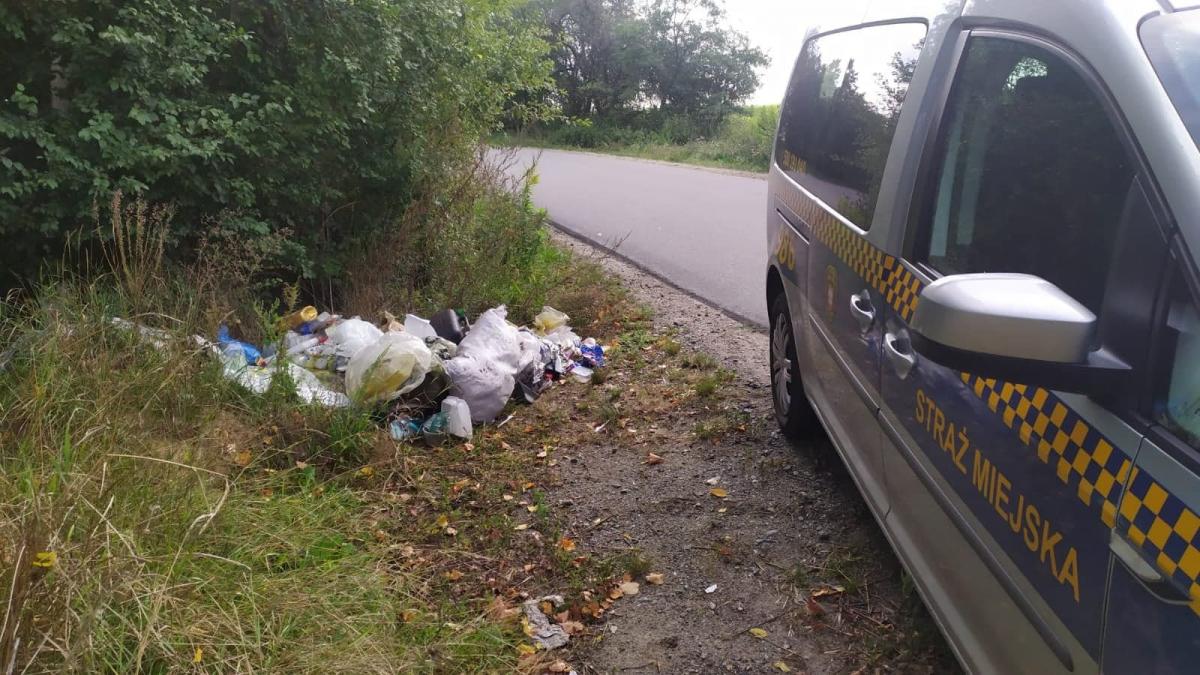 Sprawca zaśmiecenia ukarany. Mandat dla wrześnianina