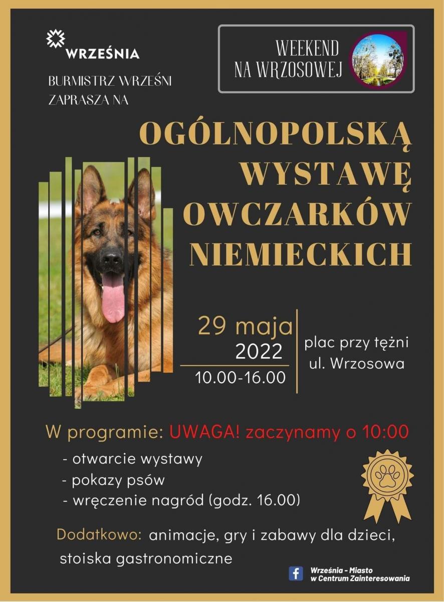Przed nami Ogólnopolska Wystawa Owczarków Niemieckich