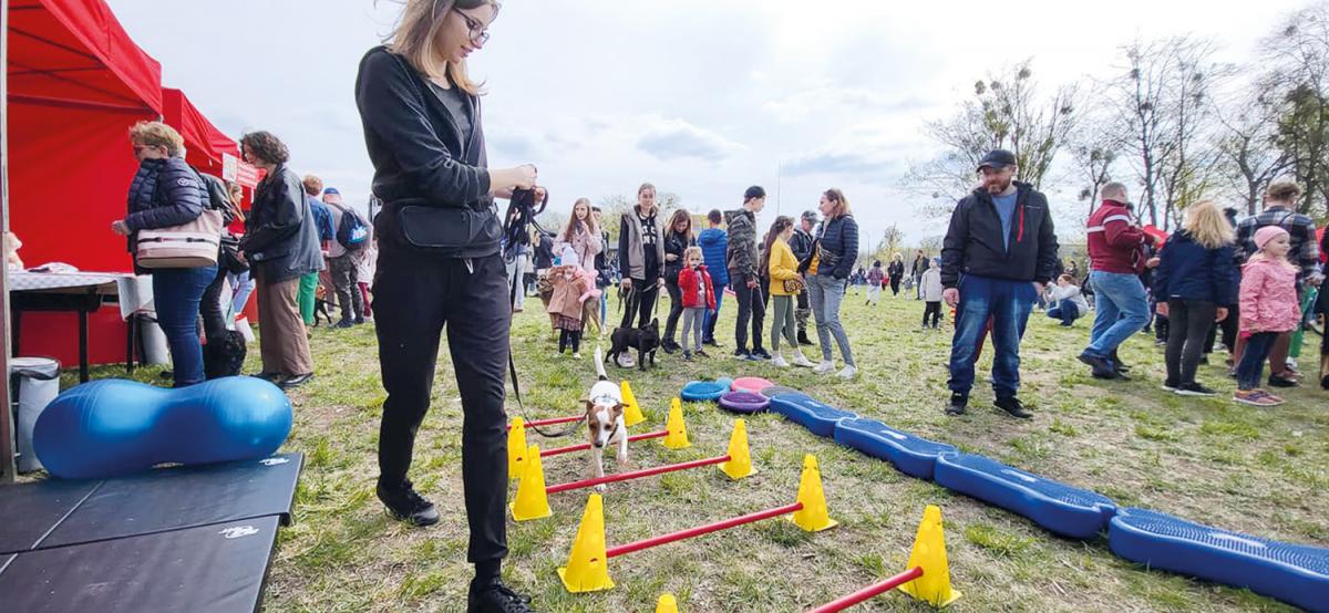 Festiwal psów przyciągnął tłumy!