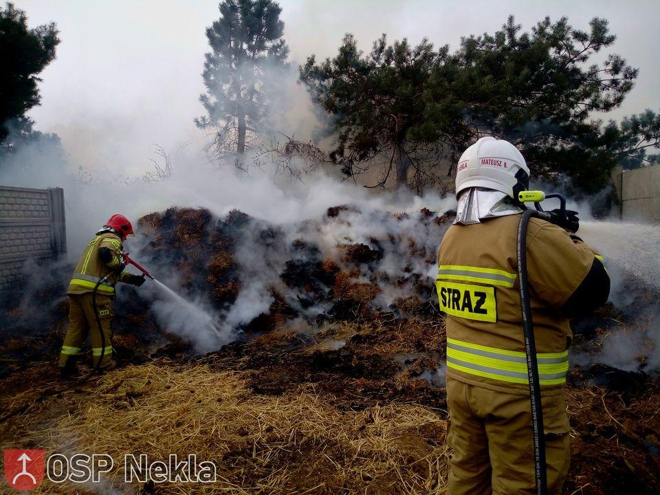 Strażacy gasili pożar obornika