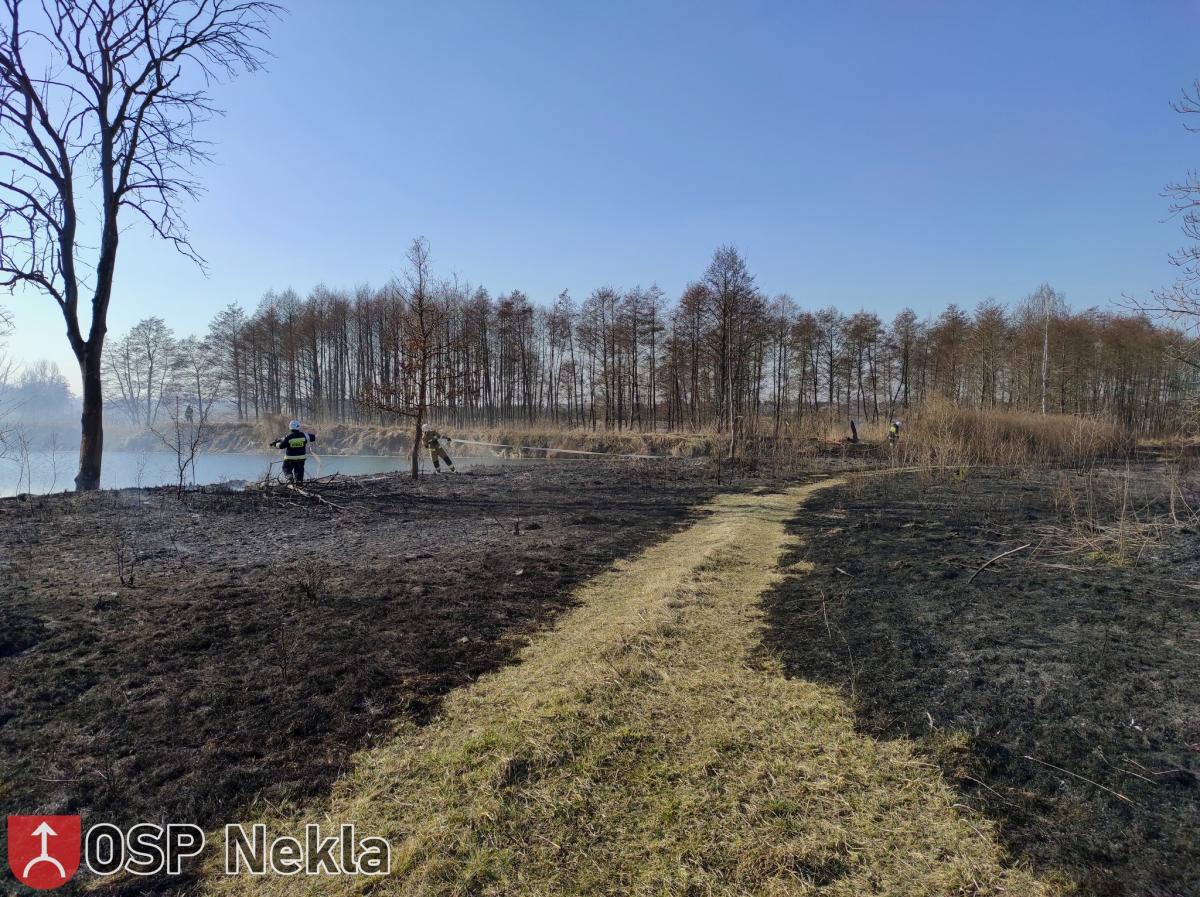 Zaczęły się pożary traw. Żywioł szalał w Stroszkach