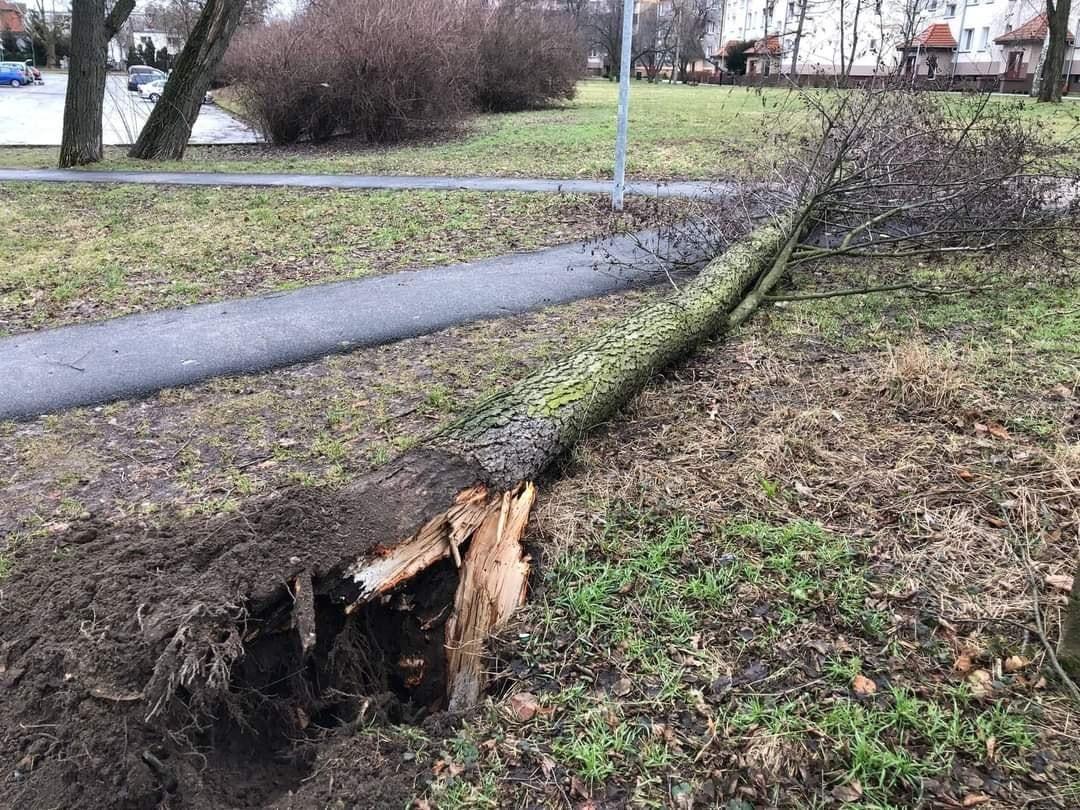 Apel! Nadal uważajcie na porywisty wiatr