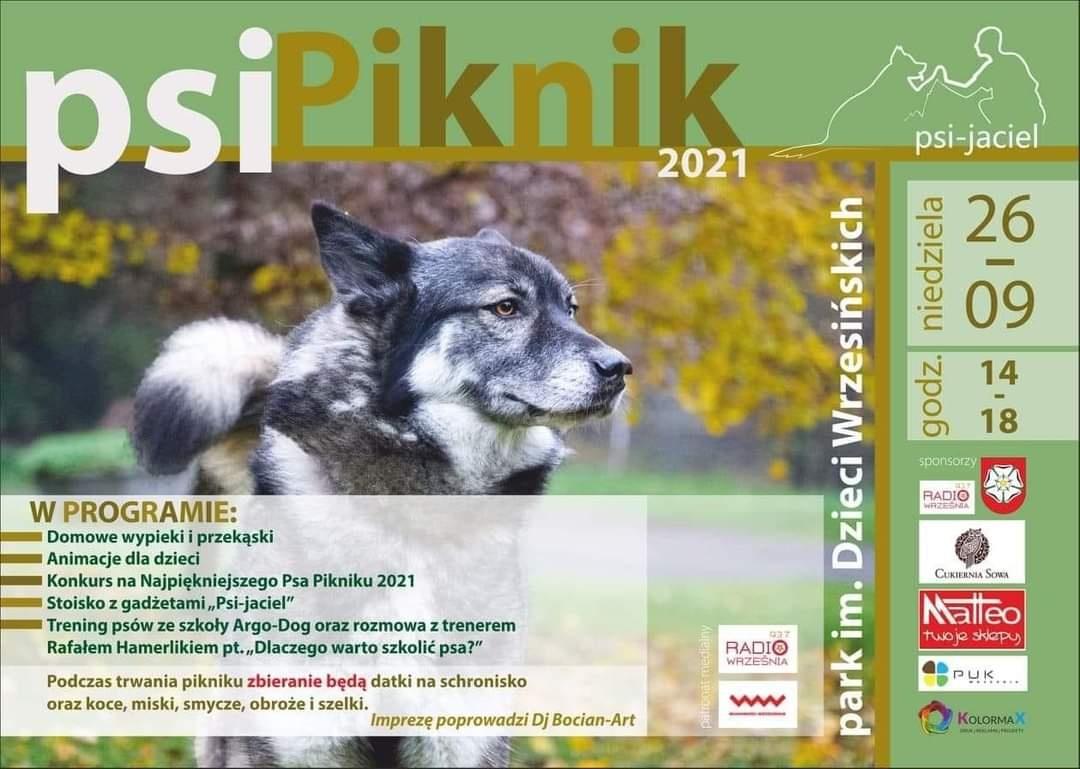 Dziś Psi Piknik w parku im. Dzieci Wrzesińskich