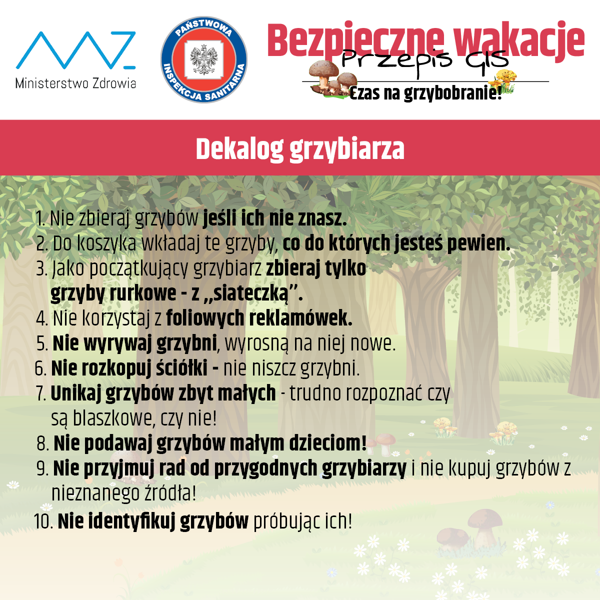 Bezpieczne grzybobranie