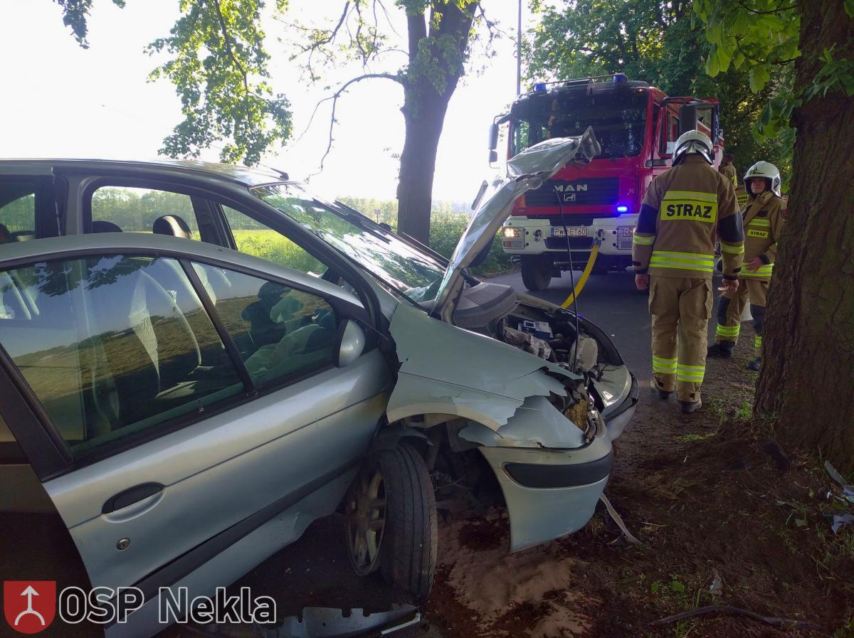 Osobówka uderzyła w drzewo w Starczanowie