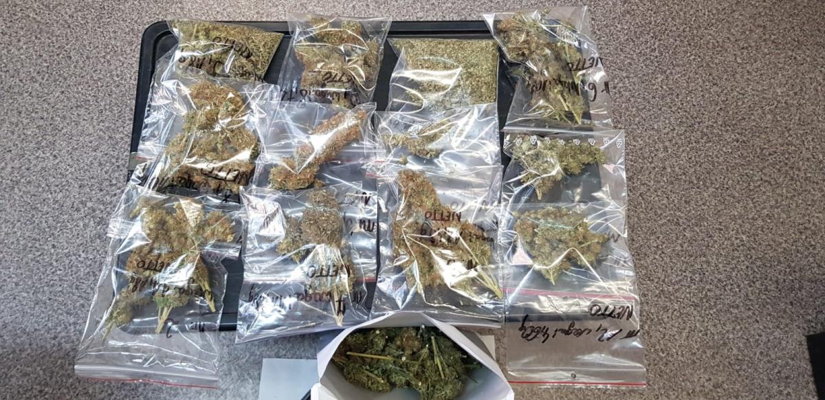 39-latek w rękach policji. Wyhodował prawie 150 gramów marihuany