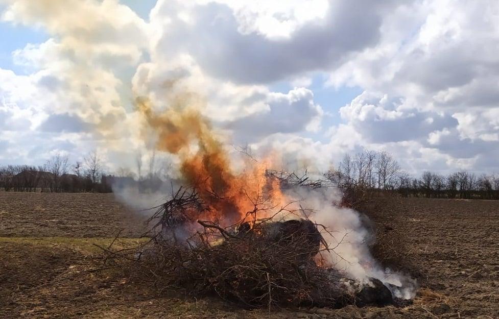Strażnicy przypominają: Zakaz spalania odpadów roślinnych