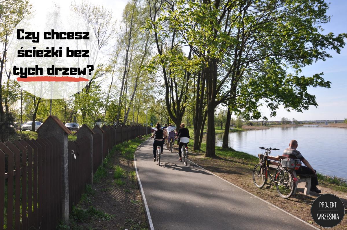 Projekt Września nie chce wycinki drzew nad Zalewem (petycja)