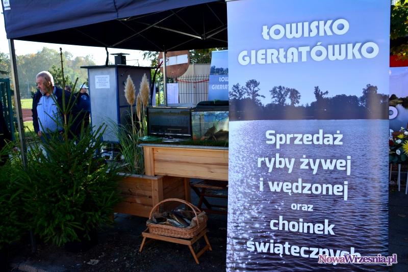Kupując świątecznego karpia, żywą choinkę otrzymasz za połowę ceny!