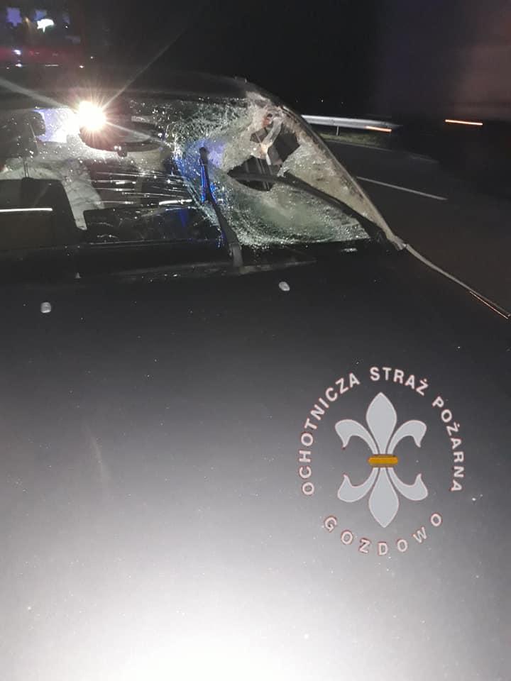 Jeleń wbiegł na autostradę. Wypadek czterech pojazdów