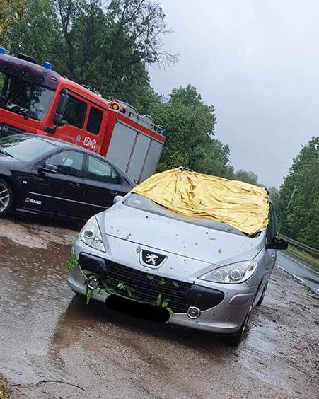 Konar spadł na przejeżdżające auto