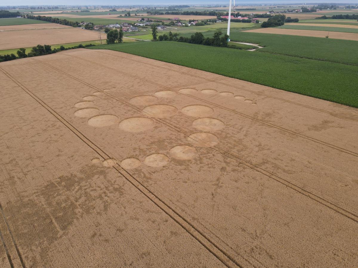 Tak wyglądają słynne kręgi w zbożu w Nadarzycach (GALERIA)