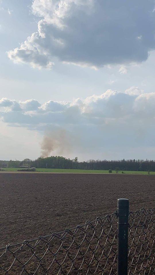 Siedem zastępów gasiło pożar lasu w Nowym Folwarku (ZDJĘCIA)