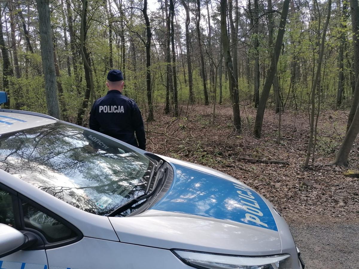 Policjanci apelują o rozsądek w lasach!