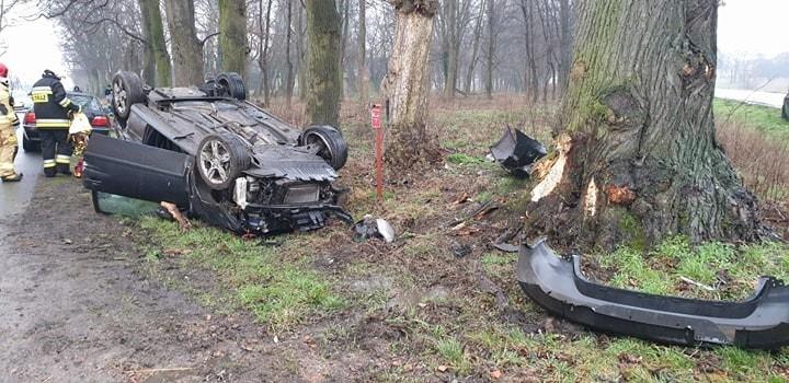 Seat uderzył w drzewo i dachował