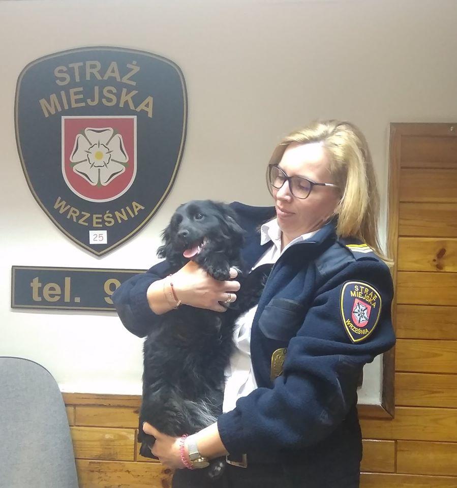 Właściciel pieska poszukiwany!