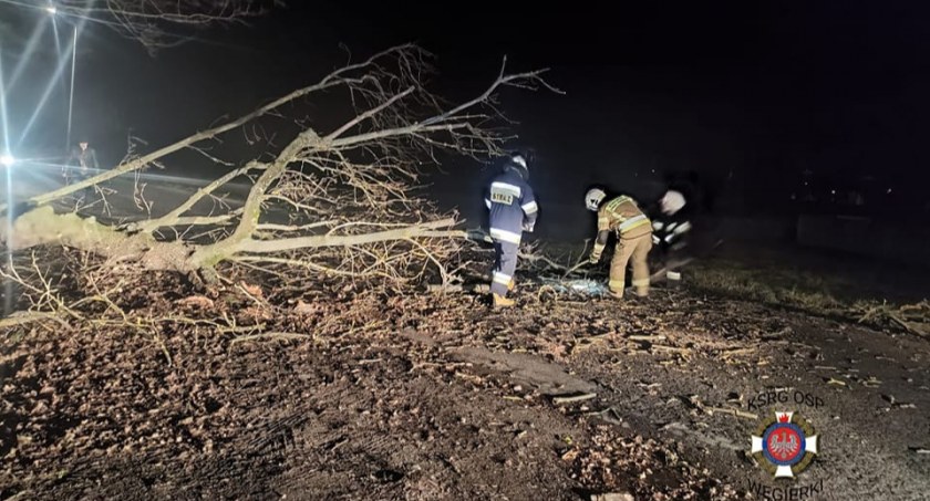 Pracowita noc służb. Porywisty wiatr dał się we znaki w powiecie wrzesińskim