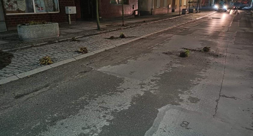 Młoda kobieta rozwalała miejskie kwiaty w centrum Wrześni (Zdjęcia) 