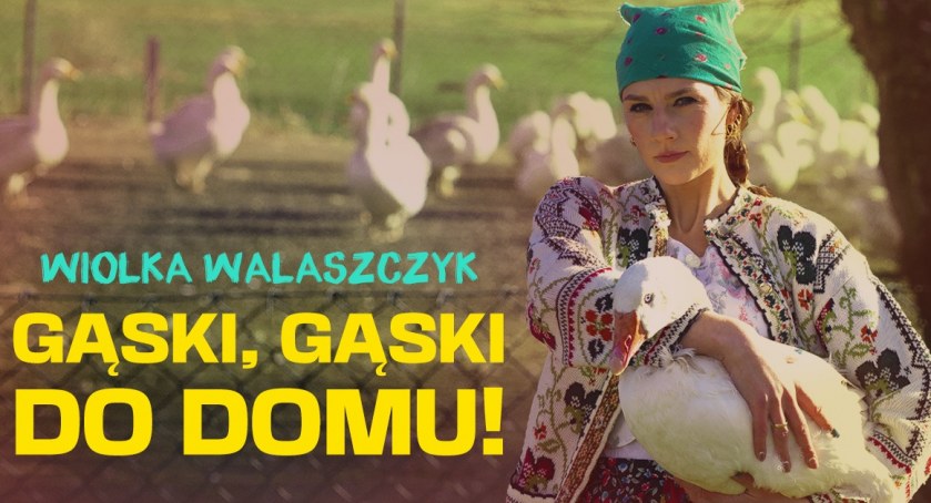 Stand-up na scenie WOK-u. Publiczność będzie bawić Wiolka Walaszczyk 