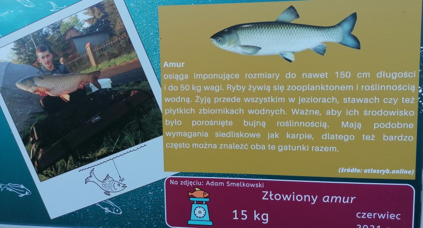 Zobacz, jakie okazy można złowić w Zalewie Lipówka! (zdjęcia) 