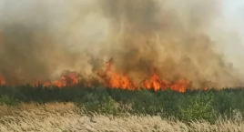 Kilkanaście zastępów strażaków i samoloty w akcji. Spłonęło ponad 20 hektarów lasu (zdjęcia) 