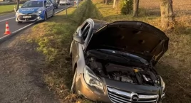 Kompletnie pijana 34-latka zaparkowała w rowie. Zaatakowała policjantów! 