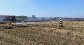 Pożar ścierniska i słomy! Ogień gasiło sześć zastępów straży pożarnej (zdjęcia) 