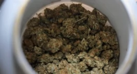  Mężczyzna posiadał prawie 3 kilogramy środków odurzających 