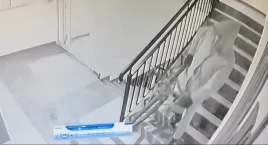 Ukradł rower z klatki schodowej na Opieszynie. Policja szuka tego mężczyzny! (Wideo)