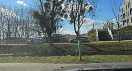 Akcja policji przy Wrzosowej. Znaleziono ciało mężczyzny 