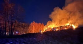 Kilka zastępów straży gasiło pożar w Sokolnikach (AKTUALIZACJA)