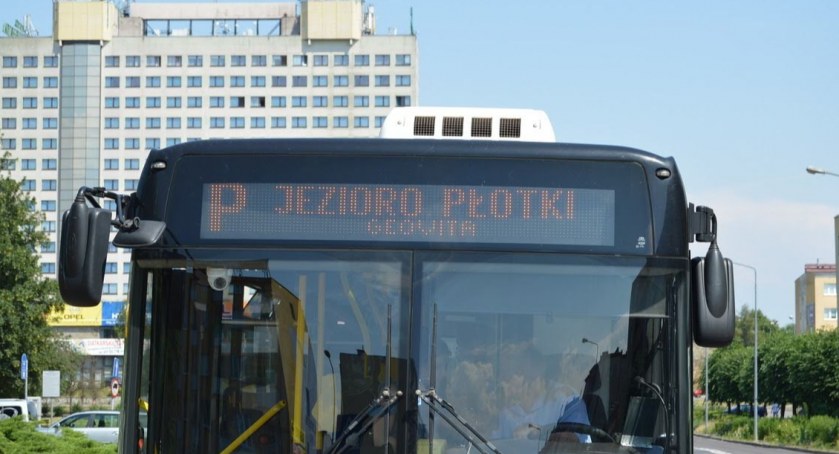Autobusy na Płotki już kursują. Sprawdź rozkład jazdy