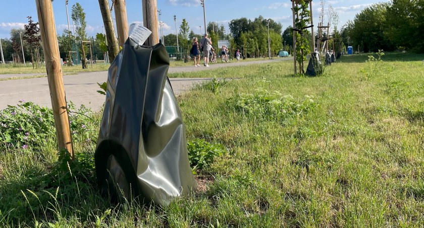 Na ratunek młodym drzewom. W Pile pojawiły się worki do podlewania kropelkowego [ZDJĘCIA]