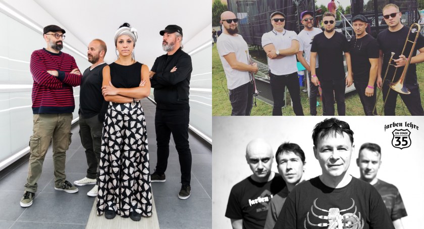 Trzciamajka Festiwal czas zacząć. Zagrają Wicked Dub Division, Cała Góra Barwinków, Farben Lehre i inni [PROGRAM]