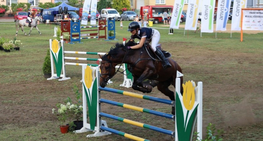  XX Wielka Gala Jeździecka w Kaczorach. Złoty Klucz dla Jerzego Cerby, Grand Prix dla Michała Szukały
