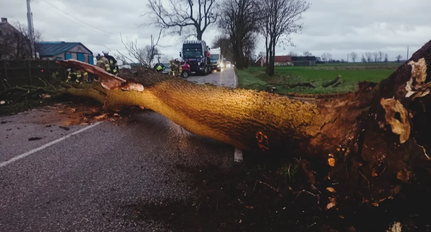 Silny wiatr w regionie. Ponad 40 interwencji strażaków