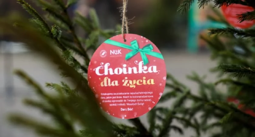 Oddaj krew i odbierz choinkę od leśników