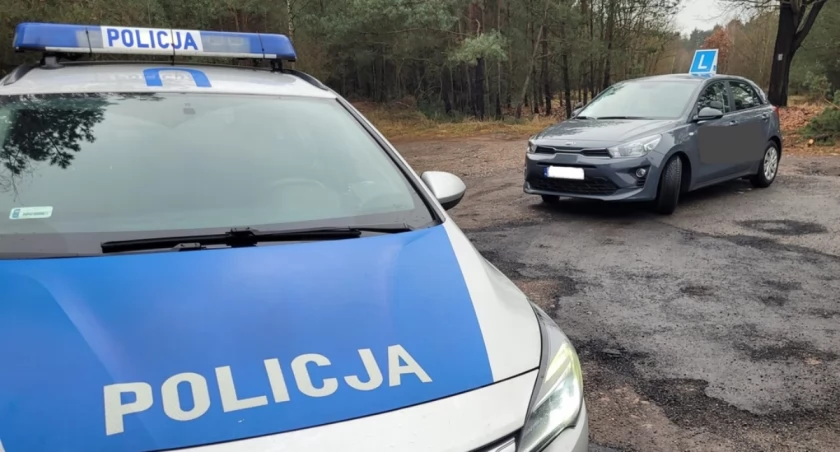Nietrzeźwy za kierownicą „eLki”. „Na długo może zapomnieć o zdobyciu uprawnień”
