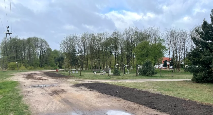 Piła: Urzędnicy zapraszają na wspólne sadzenie krzewów na Zielonej Dolinie
