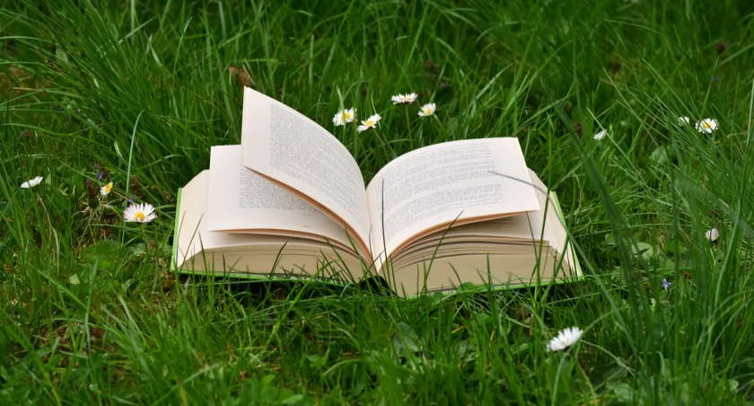 Wyjdź na spacer i „upoluj” książkę lub audiobooka. „KsiążkaGO!” w Pile