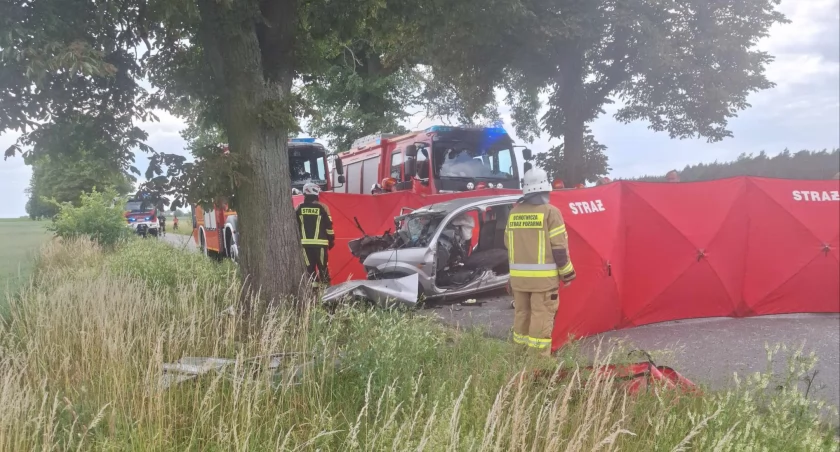 Samochód uderzył w drzewo. Nie żyje 21-letni kierowca